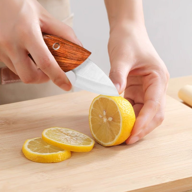 [Creative Gift] Stainless Steel Fruit Pocket Knife - GoMart!