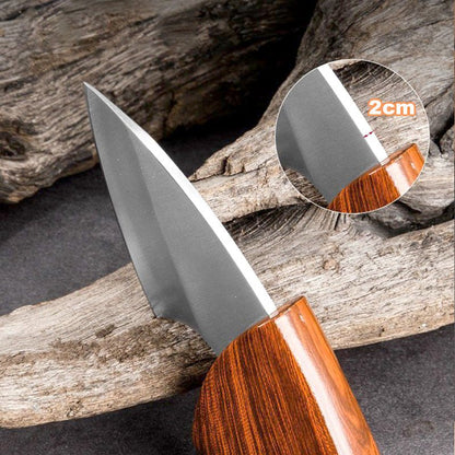 [Creative Gift] Stainless Steel Fruit Pocket Knife - GoMart!