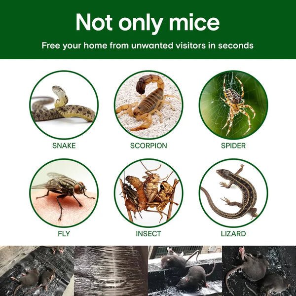 🔥HOT SALE🔥Household Mon - woven Strong Trap Sticky Mouse Blanket - GoMart!